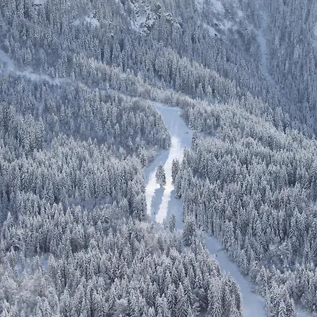 Le V De 4* Vaujany